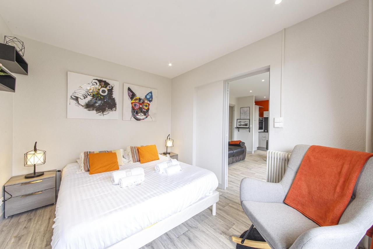 Chic Appartement Vue Sur Parc Au Calme Анже Екстер'єр фото